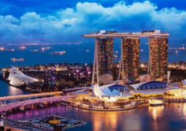 46倍狮子森林舞会2024最新版